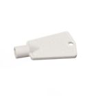 297147700 710525831330 Unbranded Freezer Key