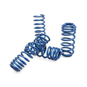 Njl21502ab Aev 3 High Capacity Coil Springs For 2018-2025 Jl Wrangler 4-door - 2.0l Njl21502ab Aev 3 High Capacity Coil Springs For 2018-2025 Jl Wrangler 4-door - 2.0l
