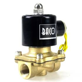 P0559 Bacoeng Brass Electric Solenoid Valve 3/8 Inch Ac110v Npt Normally