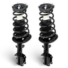 171953 Tadaauto Rear Shock Absorber With Coil Spring Complete Struts Assembly Fit For 1993-2002