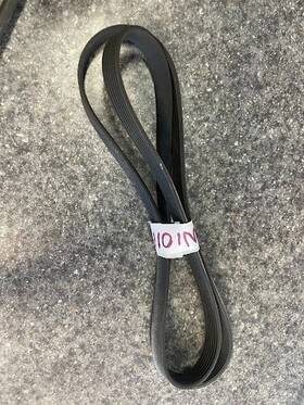 W10116915 Whirlpool Maytag Dryer Drive Belt