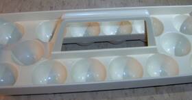 Wp67004411 Whirlpool Oem Refrigerator Egg Tray 1070612 19950191 60066-1 60066