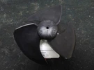 Whirlpool Refrigerator WRT518SZFM05 Condenser Fan W11505535. Fixed Price $34.95.