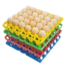 George Garden 8-PACK Plastic Egg Tray Four Colors, Multicolor. Fixed Price $37.40.