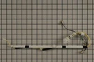 W11614809 Whirlpool Harns Wire Oem. Fixed Price $131.58.