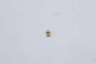 WR55X31994 Ge Reed Switch Oem. Fixed Price $7.95.