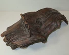 Stunning 18" Driftwood Wavy Art Sculpture - "charybdis" Greek Myth Whirlpool. Fixed Price $149.95.