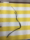 WP67004188 Whirlpool Refrigerator Defrost Heater Free Shipping. Fixed Price $29.99.