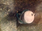 Lot Of Paragon E-769-00 Defrost Timer 120V 60HZ 6X631. Fixed Price $35.00.