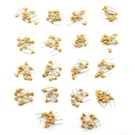 180PCS Monolithic Ceramic Capacitors Assorted Kit 20PF1051UF 50V Values Com. Fixed Price $13.44.