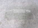 WPW10513681 Whirlpool Refrigerator Pantry Glass 24 5/16" X 14 1/4". Fixed Price $20.00.