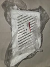 Lg Refrigerator Drawer Guide Rail / Freezer Basket Divider 4974JJ1021A Oem. Fixed Price $12.00.