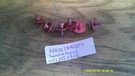 WP12992902 Whirlpool/maytag Refrigerator Door Handle Pins Set Of 6. Fixed Price $35.00.