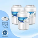 Icepure RWF0600A Fits Ge Mwf EBL7771 CWMF031 PL-100 PF8 Water Filter Pack. Fixed Price $28.49.
