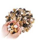 Natural River Rocks 1-2 Inch Ornamental Polished Lb Bag, Mixed Color. Fixed Price $10.51.
