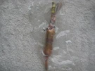 Sub-zero 7006964/3014230 Filter/ Drier New Old Stock O.e.m Part. Fixed Price $60.00.