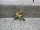 Tappan Stove Gas Burner & Control Valve Part # 316036600. Fixed Price $35.00.